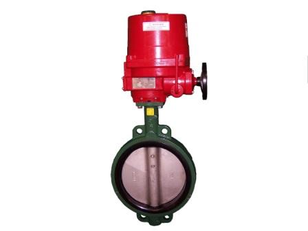 Electric Butterfly Valve